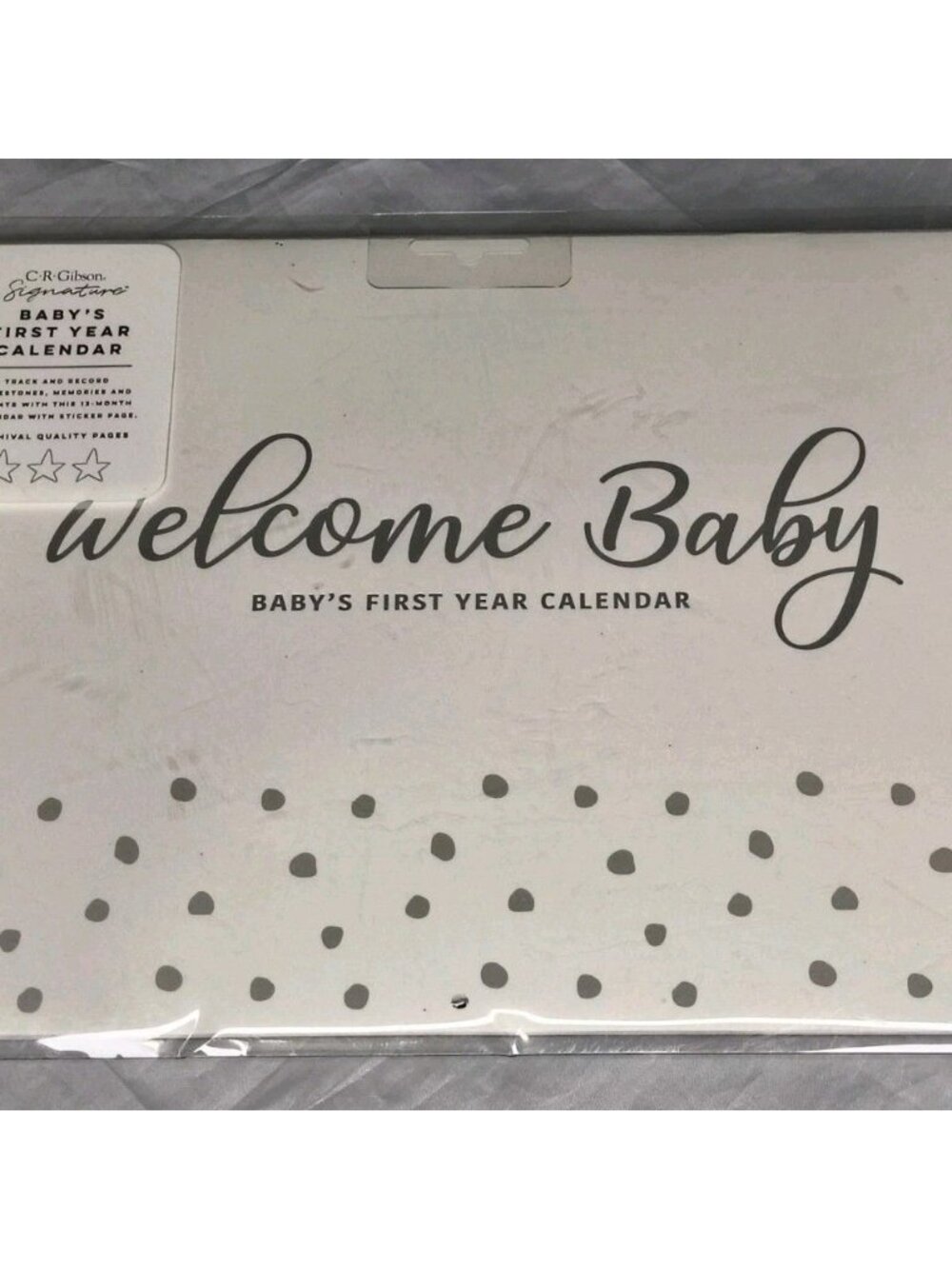 C.R. Gibson Calendar Gender Neutral Welcome Baby's First Year Keepsake